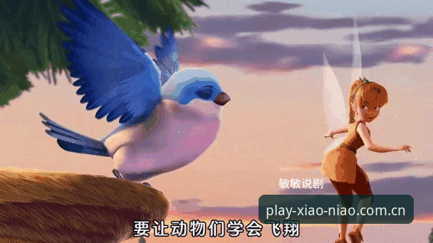 小鸟体育赛事动态 vs 传统体育资讯平台：老用户亲测对比哪个更实用？