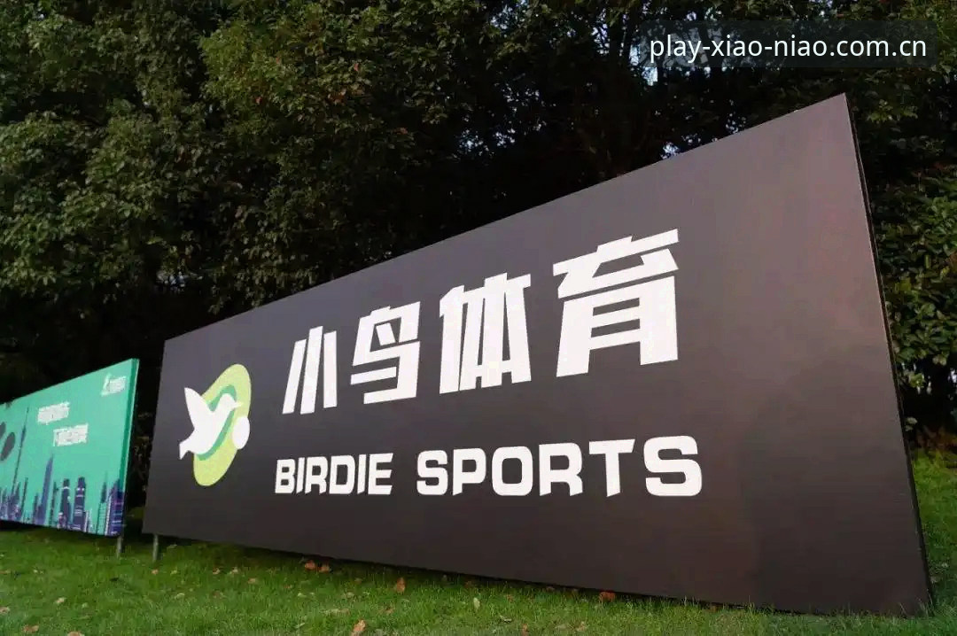 小鸟体育下载不了怎么办 3种创新方法解决小鸟体育下载不了怎么办的困境——从技术突破到全新体验