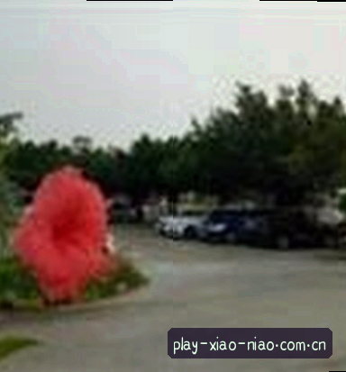周鹏
