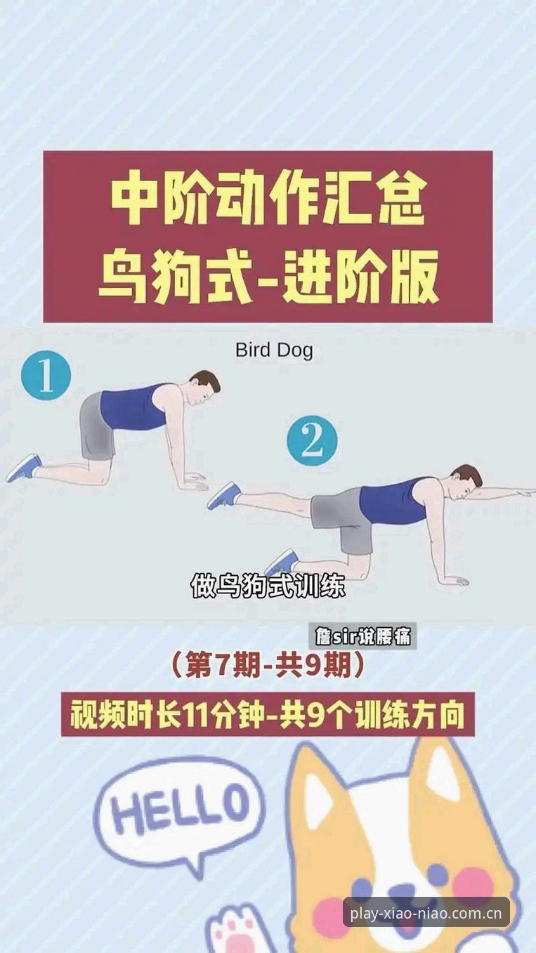 小鸟体育使用教程：5个核心步骤+3大安全贴士助你快速上手